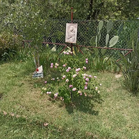 Panzió Parco Del 3*