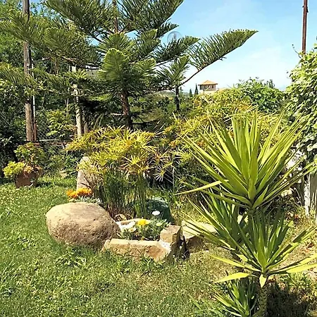 Bed & Breakfast Parco Del 3*