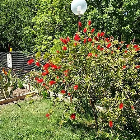 Parco Del Bed & Breakfast Laureana Cilento