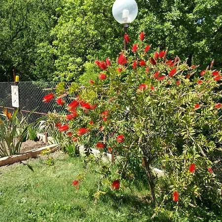 Bed & Breakfast Parco Del Laureana Cilento