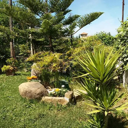 Parco Del Laureana Cilento