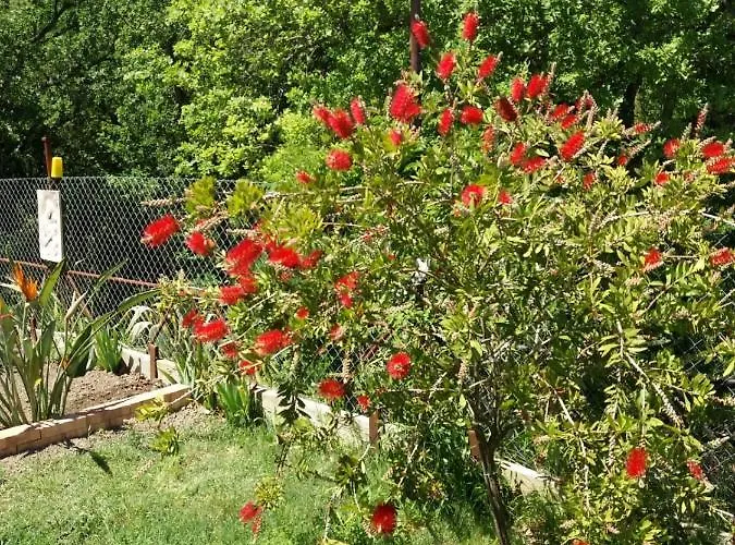 B&B Parco Del 라우레아나 실렌토