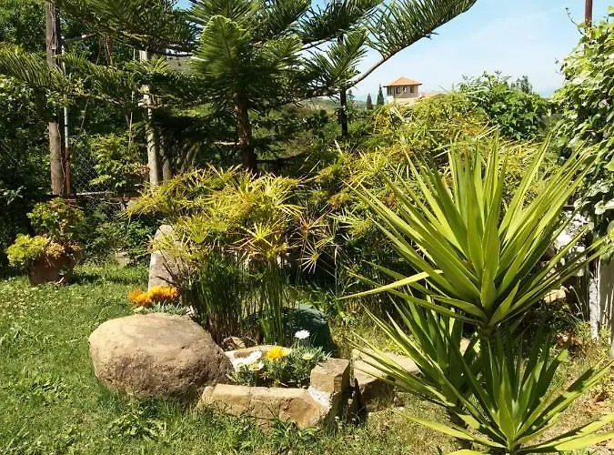 Parco Del Laureana Cilento